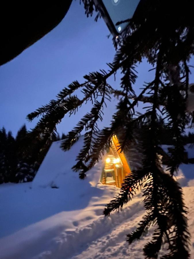 Rajska Suma Žabljak Exterior foto