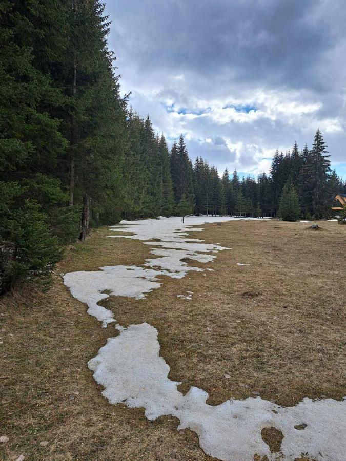 Rajska Suma Žabljak Exterior foto